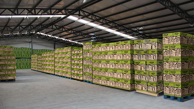 Ellawig companys fabriek productielijn